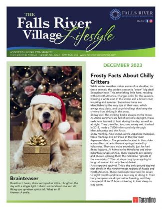 Independent Living Current Newsletter